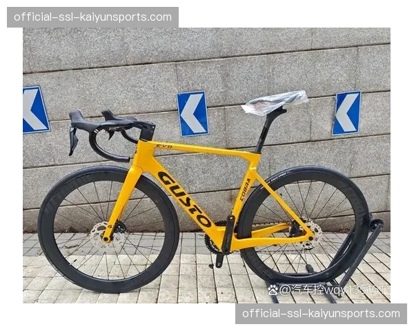 法国警方破获跨国自行车盗窃团伙，查获近百辆高端竞赛公路车